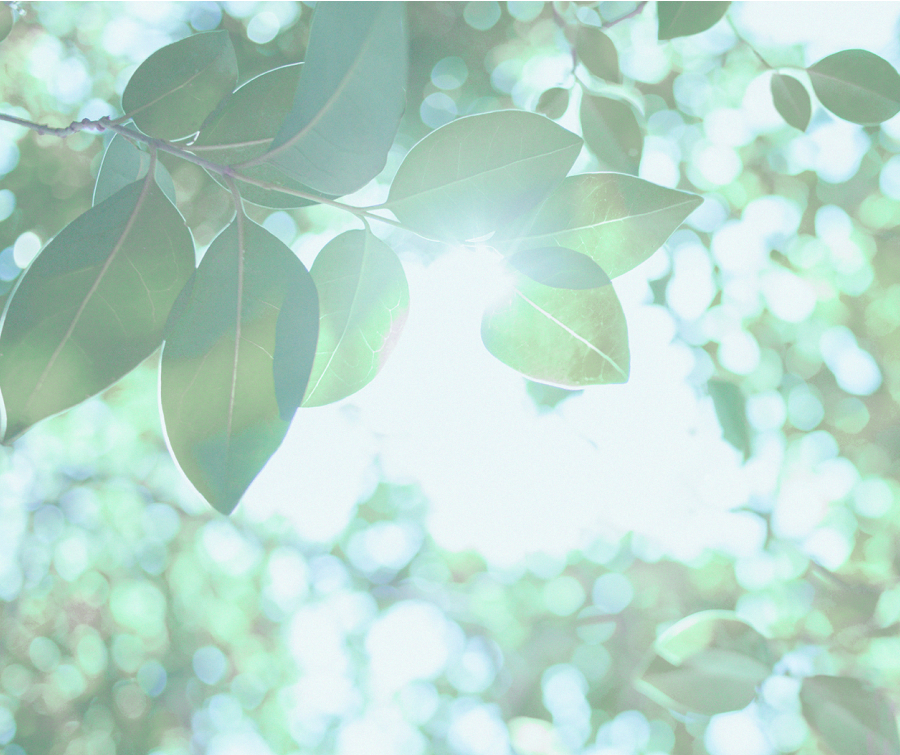 インナーマッスルを強化して、太りにくい理想のカラダをつくる